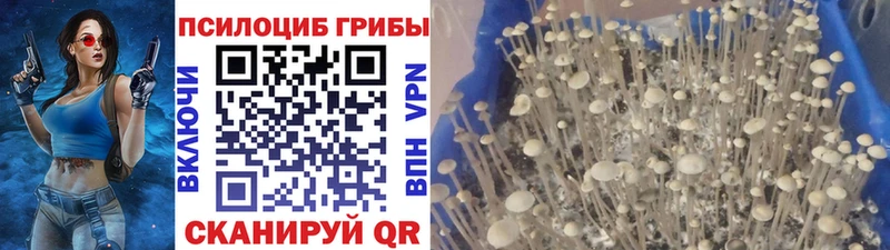 Галлюциногенные грибы MAGIC MUSHROOMS  Купить  Абаза 